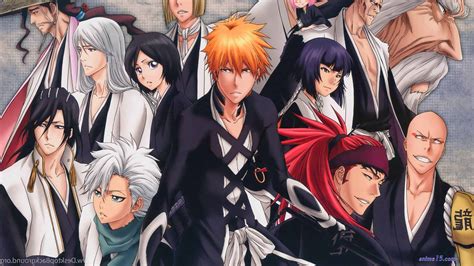 bleach gogo anime